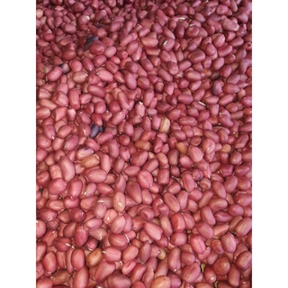 Lạc đỏ bóc tay