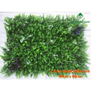 (HCM) Thảm Cỏ Treo Tường - Cỏ Tai Chuột Điểm Hoa 40*60cm Giá Tốt Nhất