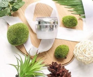 KEM ỐC SÊN HÀN QUỐC