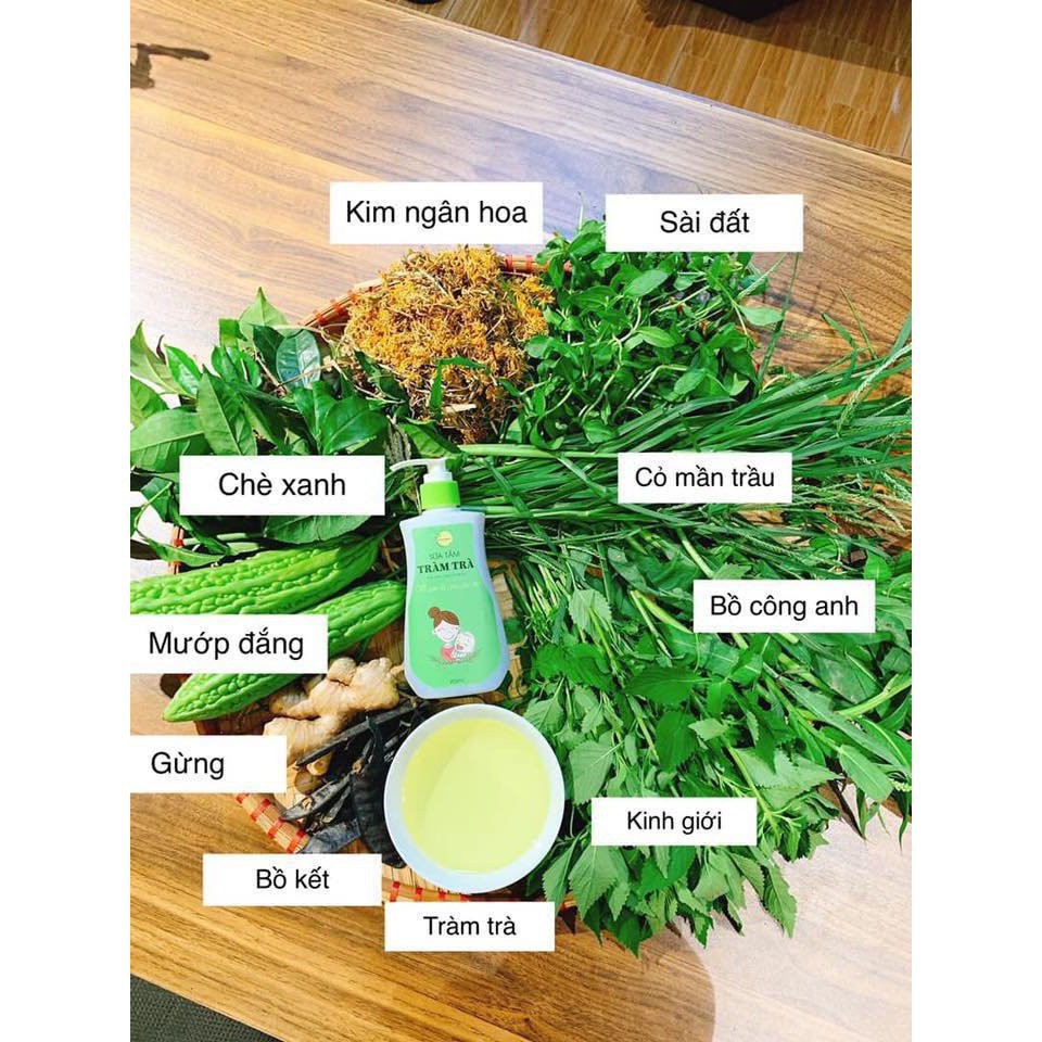 SỮA TẮM GỘI THẢO DƯỢC TRÀM TRÀ GREENBON CHO BÉ - Thảo dược thiên nhiên, Đuổi côn trùng - An toàn cho trẻ sơ sinh