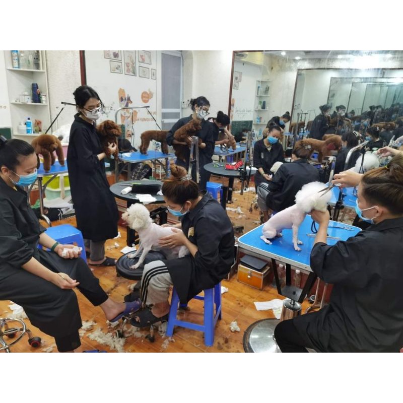 Áo Grooming cắt tỉa lông chó mèo chống bám lông bám bụi nhẹ dáng dài kéo khóa cho cả thợ nam và nữ - OmonPet