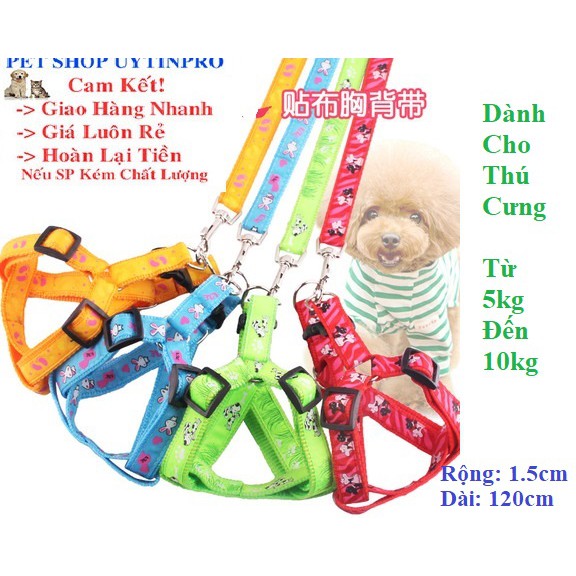 DÂY DẮT KÈM VÒNG CỔ DẠNG YẾM CHO Thú Cưng Chó Mèo Từ 5kg đến 10kg bản rộng 1.5cm