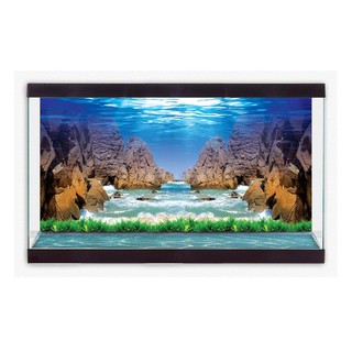 TRANH DECAL DÁN HỒ CÁ 3D_NÀNG THƠ
