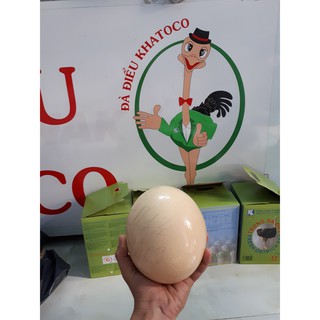 Trứng Đà Điểu Khatoco