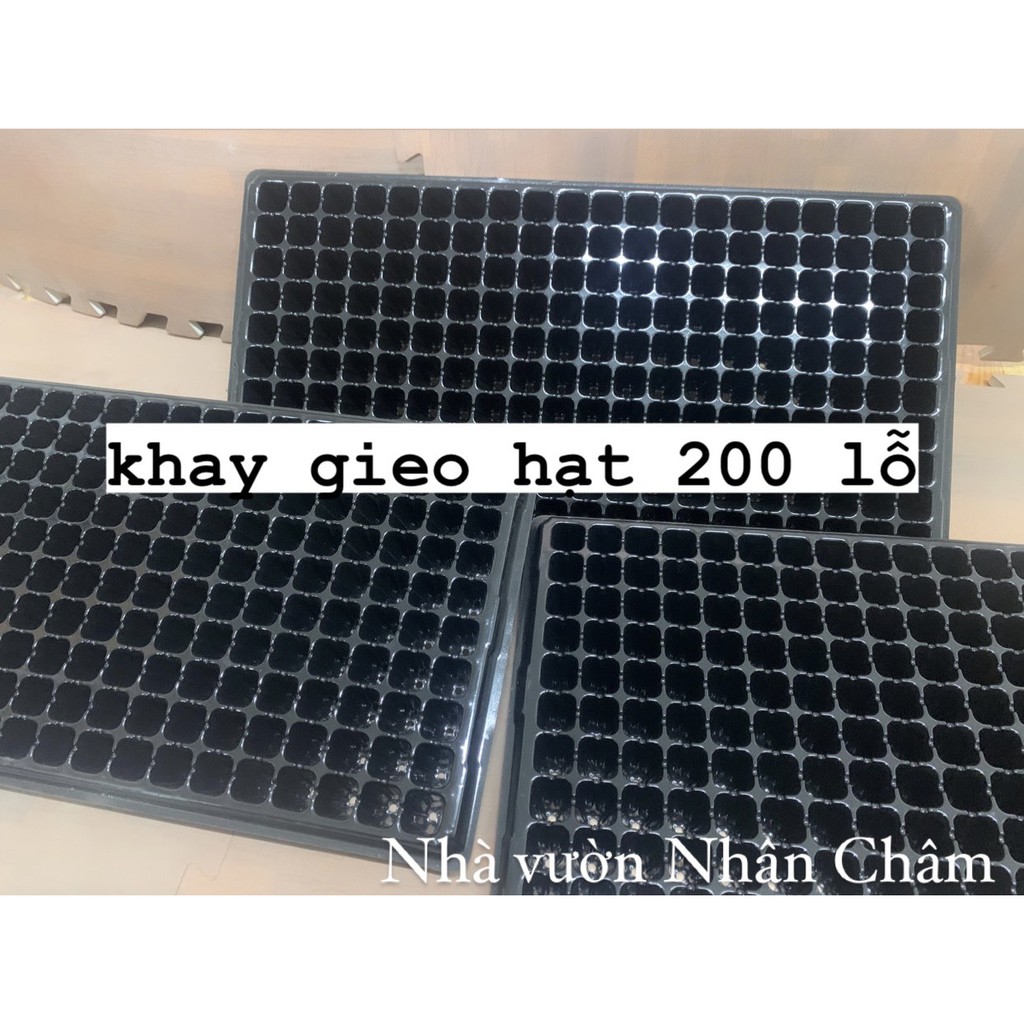 Combo 5 khay gieo hạt giâm cành 200 lỗi loại 1 chất lượng cao