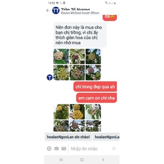 Combo 10 cẩm cù tặng 1