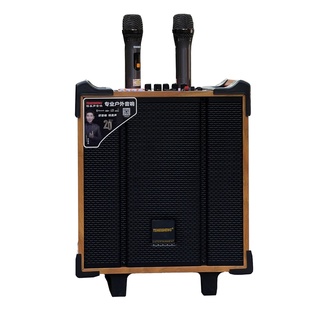 Loa kéo di động temeisheng qx-0870