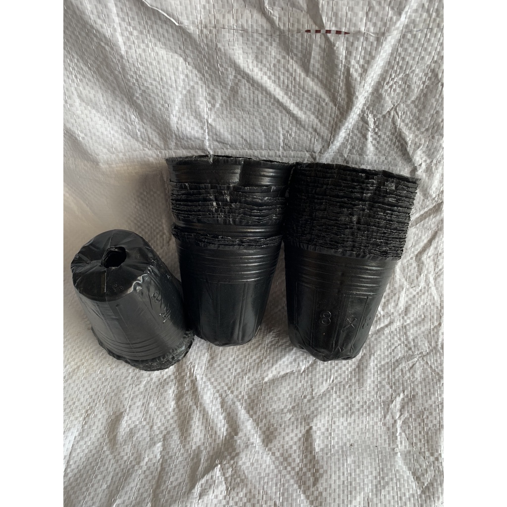 BẦU ƯƠM CÂY 8*8 ( DỊCH TRUYỀN CHO CÂY, KÍCH RỄ , MẦM CÂY XANH LÁ, LƯỚI CHE NẮNG...)