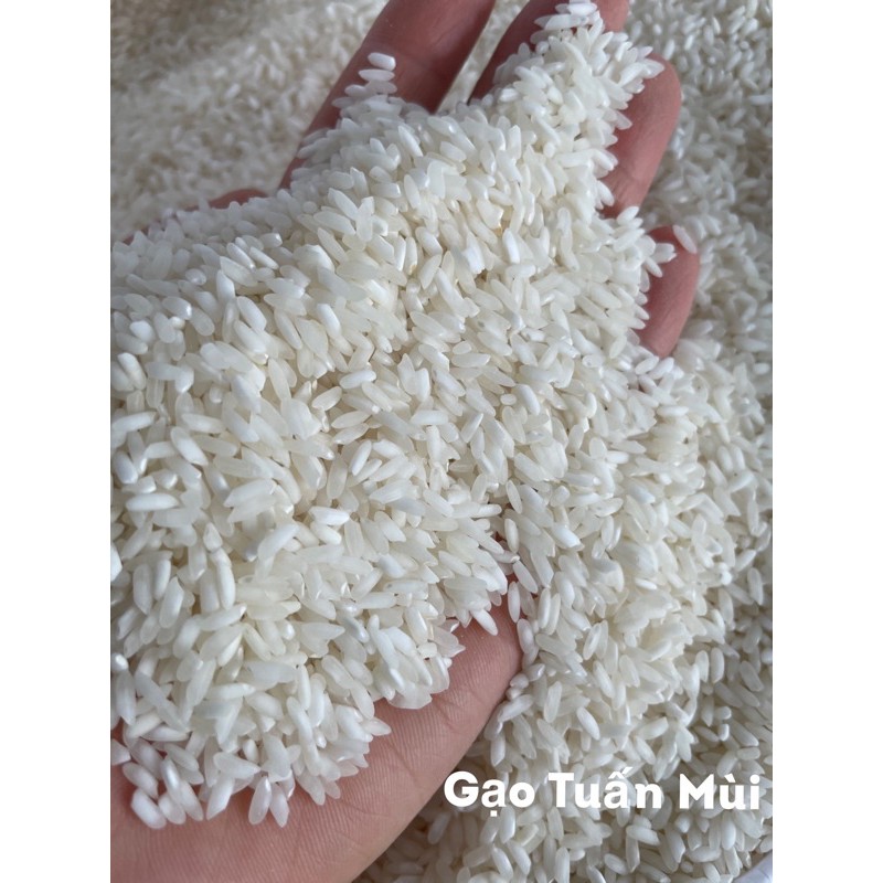 Gạo Tài Nguyên Chợ Đào (1Ký)