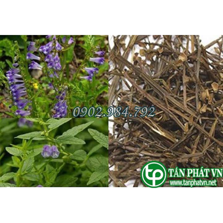 Thảo dược Bán chi liên 500g khô