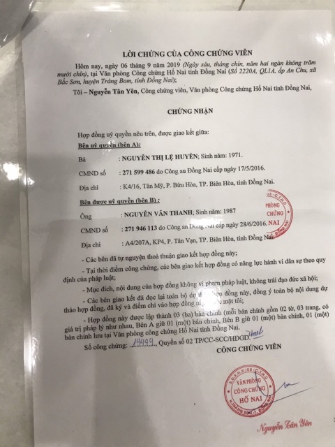 Ủ TẢO XOẮN TƯƠI ALOTA HUYỀN PHI ( Chính Hãng ) | BigBuy360 - bigbuy360.vn