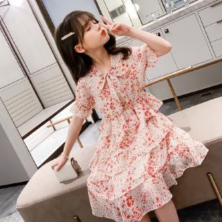 Beautiful Princess Dress For Girls