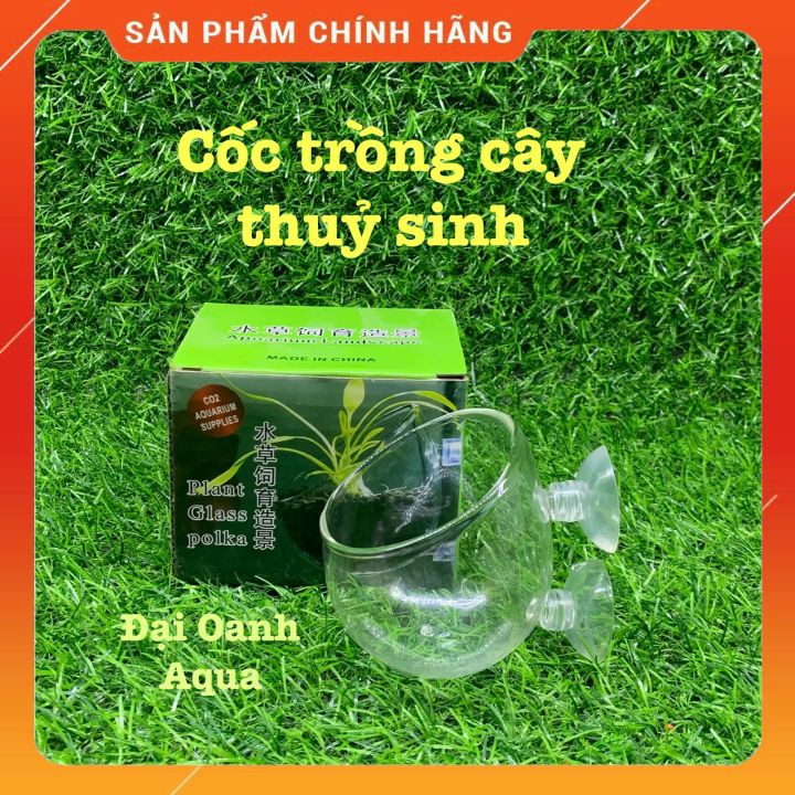 Cốc Trồng Cây Thủy Tinh Trang Trí Bể Cá Cảnh