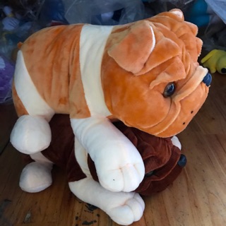 Chó Mặt Xệ (45cm),Lông Mịn,Gòn💯,Hàng Có Sẵn,Hình Chụp Thật Tại Shop