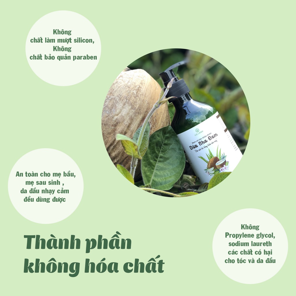 Kem xả tóc dừa nha đam thảo dược - Dưỡng ẩm, dưỡng tóc khoẻ không khô xơ, hỗ trợ giảm rụng tóc hiệu quả
