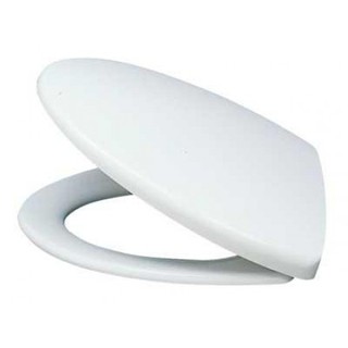 Nắp bàn cầu Caesar M220