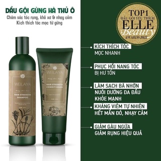 Dầu gội gừng hà thủ ô weilaiya