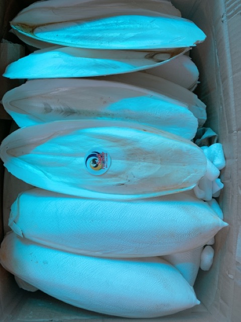 Nan mực size to hơn 1 gang tay 30k/miếng/100g