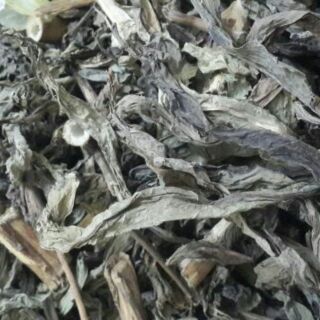 1kg cây bồ công anh khô