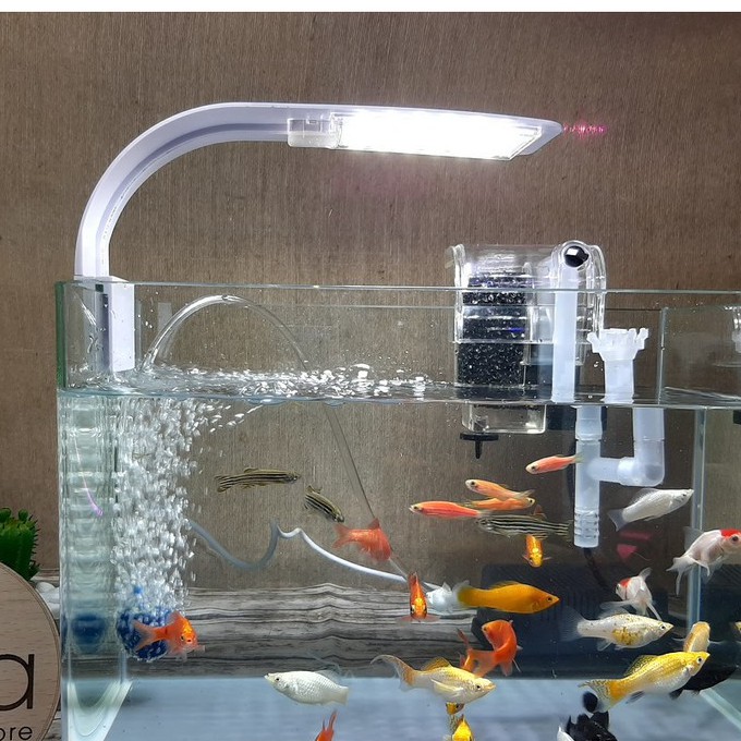 Đèn Led Kẹp Cho Bể Cá Cảnh, Thủy Sinh 25-40cm, 10W