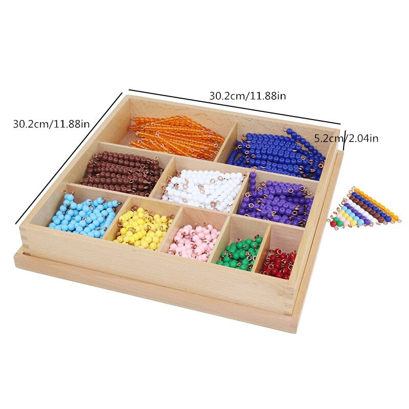 Hộp dây hạt cườm 1-10 Montessori (Bead Decanomial)