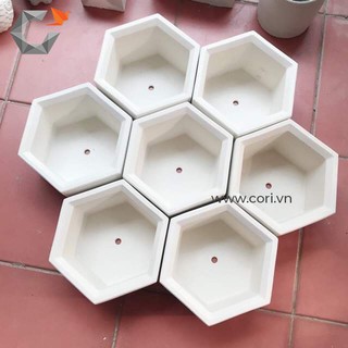 [Chậu xi măng cao cấp Cori] Chậu lục giác mini - The Hexagon