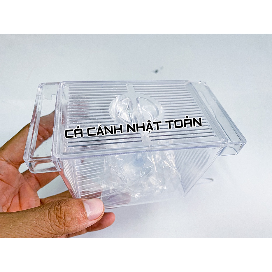 LỒNG ẤP CHO CÁ 7 MÀU DÀI 12CM RỘNG 7CM CAO 7CM