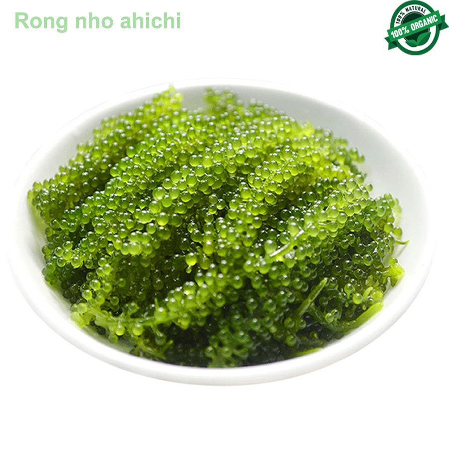 Rong Nho Tách Nước Ahichi (Tặng 2 gói sốt mè) - Hộp [100G] - Ship Hỏa Tốc