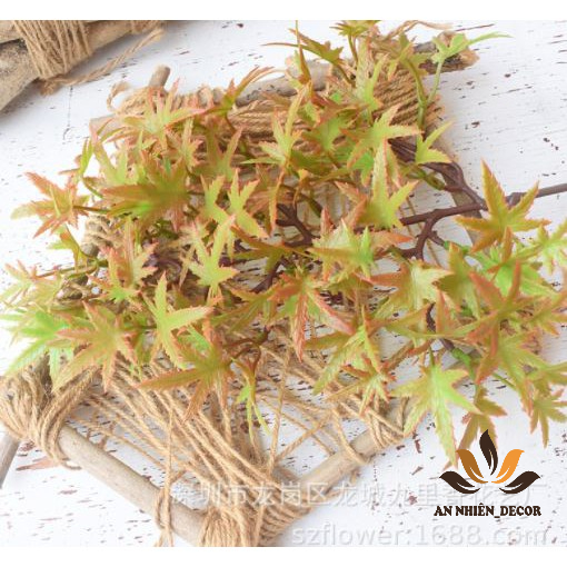 Mô hình lá phong  - Tráng trí gỗ, lũa bonsai tuyệt đẹp - Hàng chất lượng cao, màu tự nhiên.
