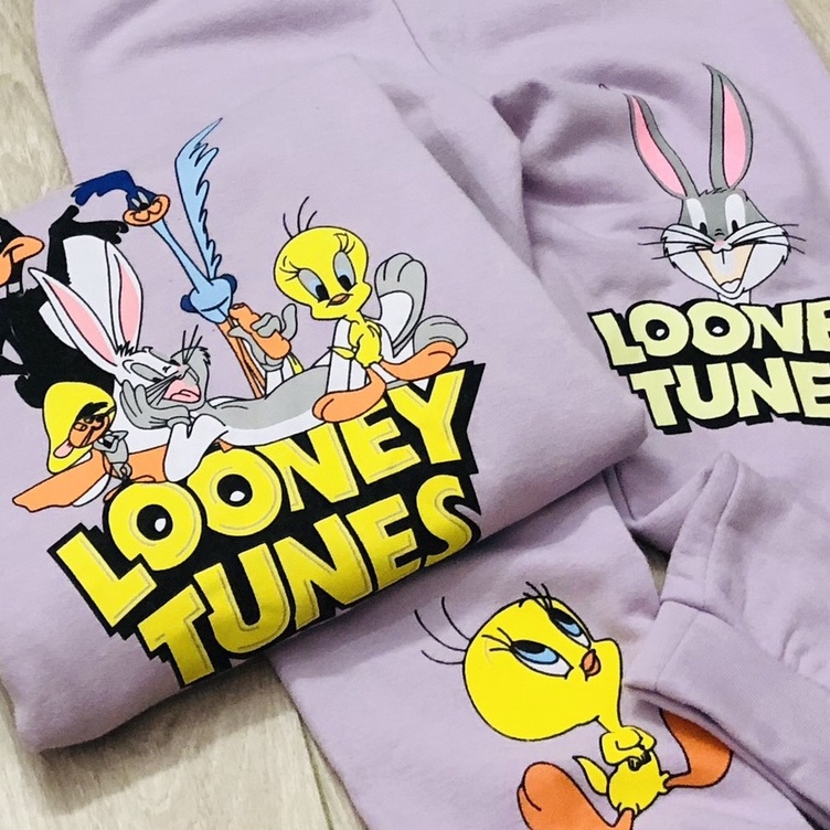 Bộ dài tay thu đông bé gái - Set 2 bộ nỉ LOONEY TUNES tím HM cho bé gái size1-6t