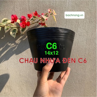 Chậu nhựa đen C6 ươm cây con