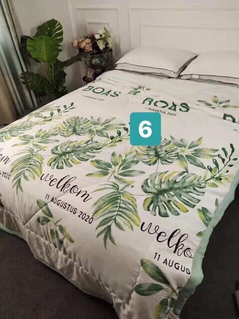 CHĂN ZARA HOM HÀNG ĐẸP