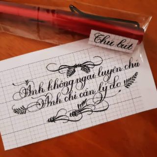 Bút kim tinh 001