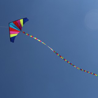 Đuôi diều dài 10m màu cầu vồng độc đáo