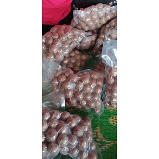HẠT MACCA DAKLAK loại1
