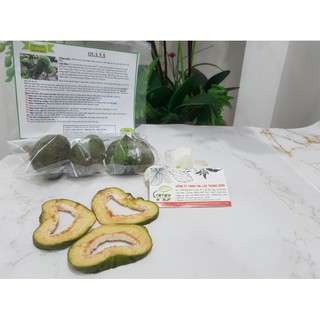 Quả Vả 1Kg - HÀNG CÔNG TY