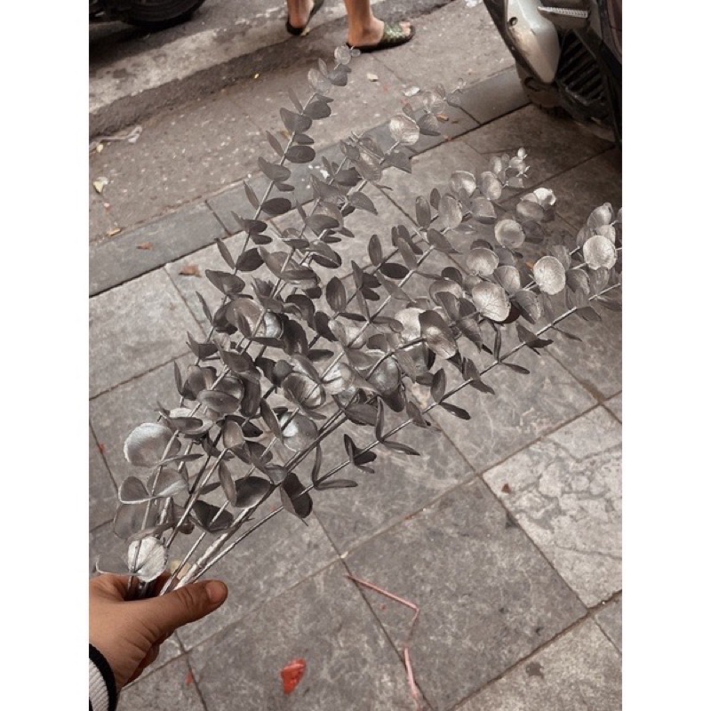 Cành táo vàng kim, cành rẻ quạt decor trang trí siêu đẹp