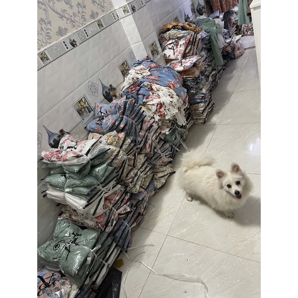 Đầm body duôi cá nhúng hình +Video tự quay