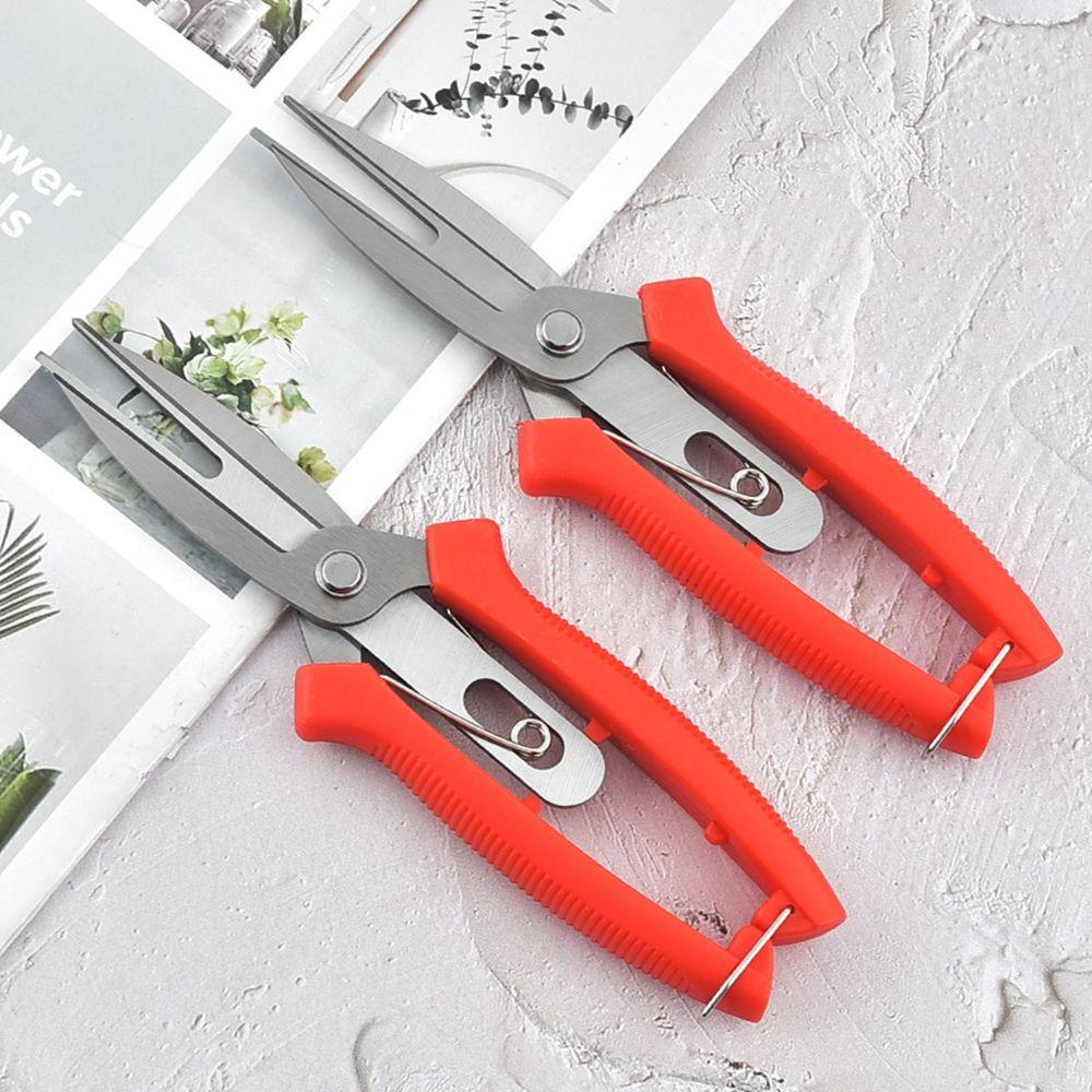 Kéo Cắt Tỉa Cây Kiwi Hai Cổng Chuyên Dụng