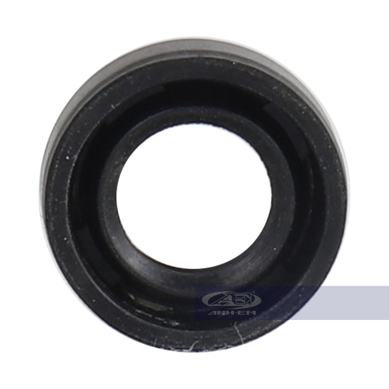 Phốt nồi ampida (RGV - Apido) RGV120-0604