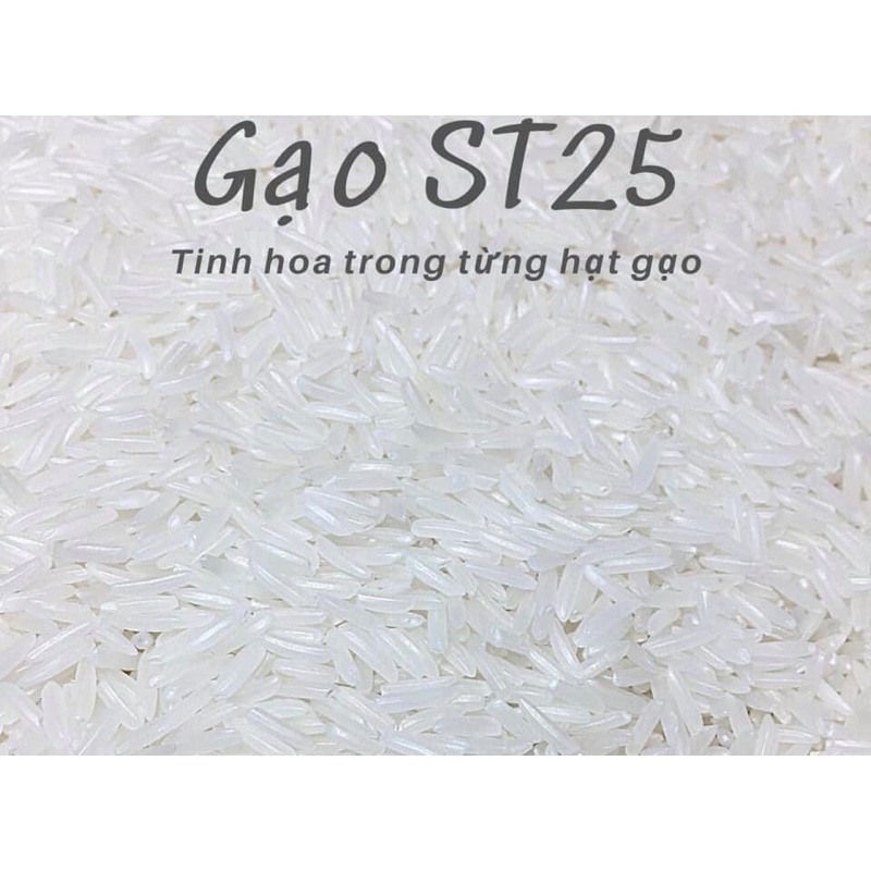 GẠO ST25 SÓC TRĂNG GẠO NGON NHẤT 1KG