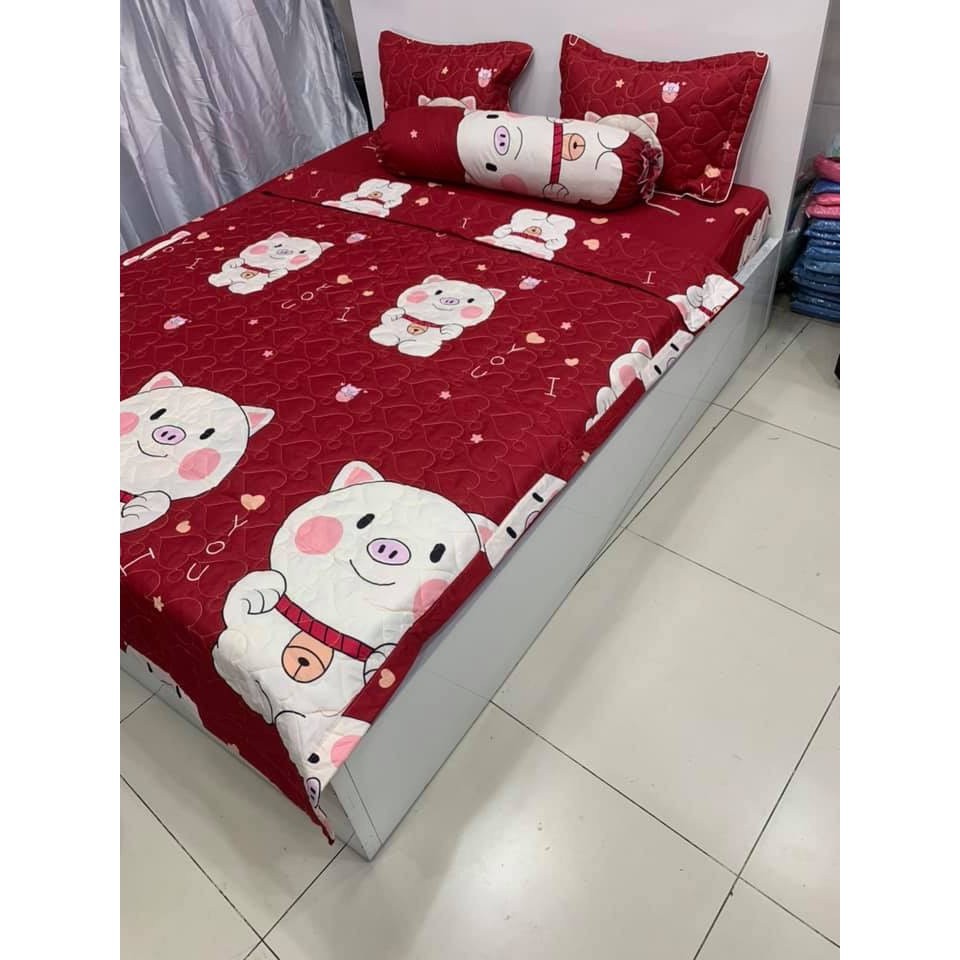 Set 3 Ga Gối Poly Cotton HEO ĐỎ TO- LỢN ĐỎ ĐỦ KÍCH THƯỚC CHỌN LỰA