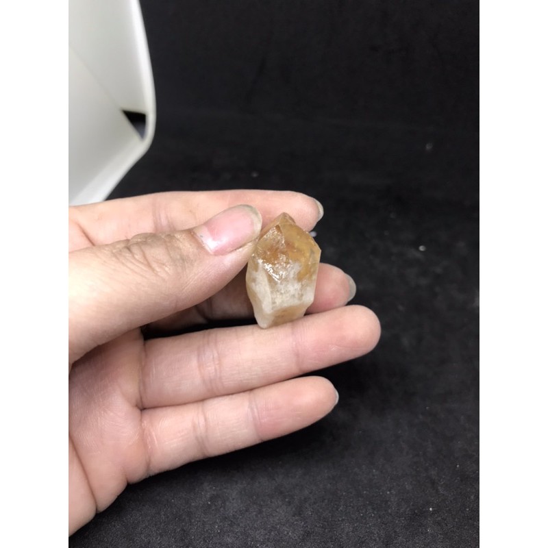 Mầm tinh thể vàng Citrine