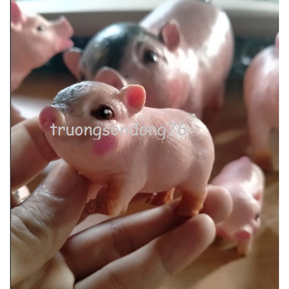 Đàn lợn mẹ con tuyệt đẹp có nhạc cho bé