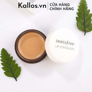 Kem Che Khuyết Điểm Môi Innisfree Tapping Lip Concealer - Kallos Vietnam