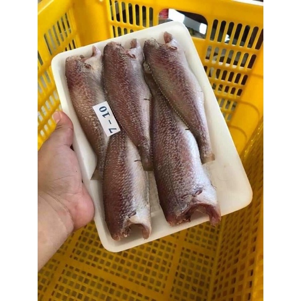 0,5kg Khô cá đù 1 nắng