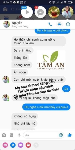 CỎ MÁU TÂM AN QUẢNG BÌNH - CỎ MÁU NÚI ĐÁ