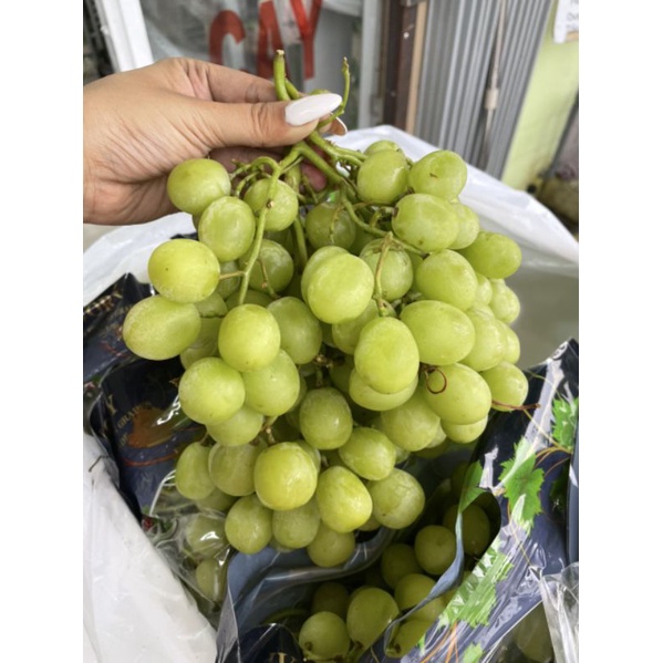 HCM Free Ship - Nho Xanh Không Hạt Mỹ Tươi Cứng Giòn Ngọt 500gr