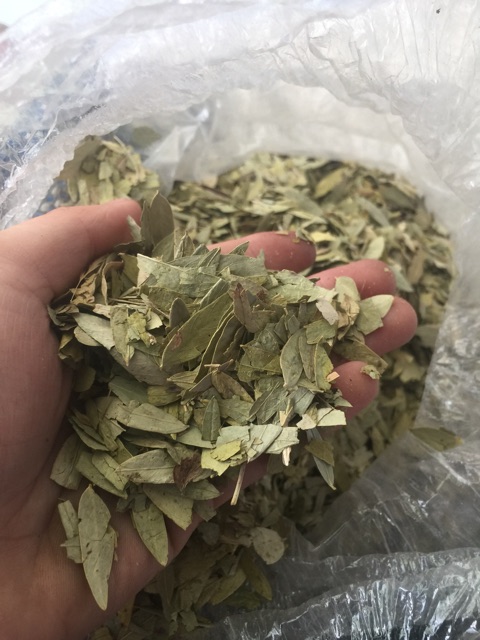 Phan tả diệp (100gram)
