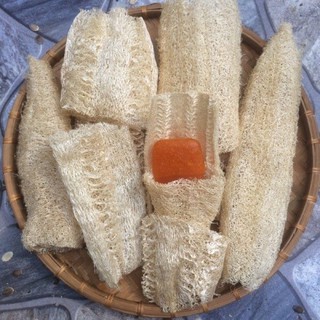 Xơ mướp tắm